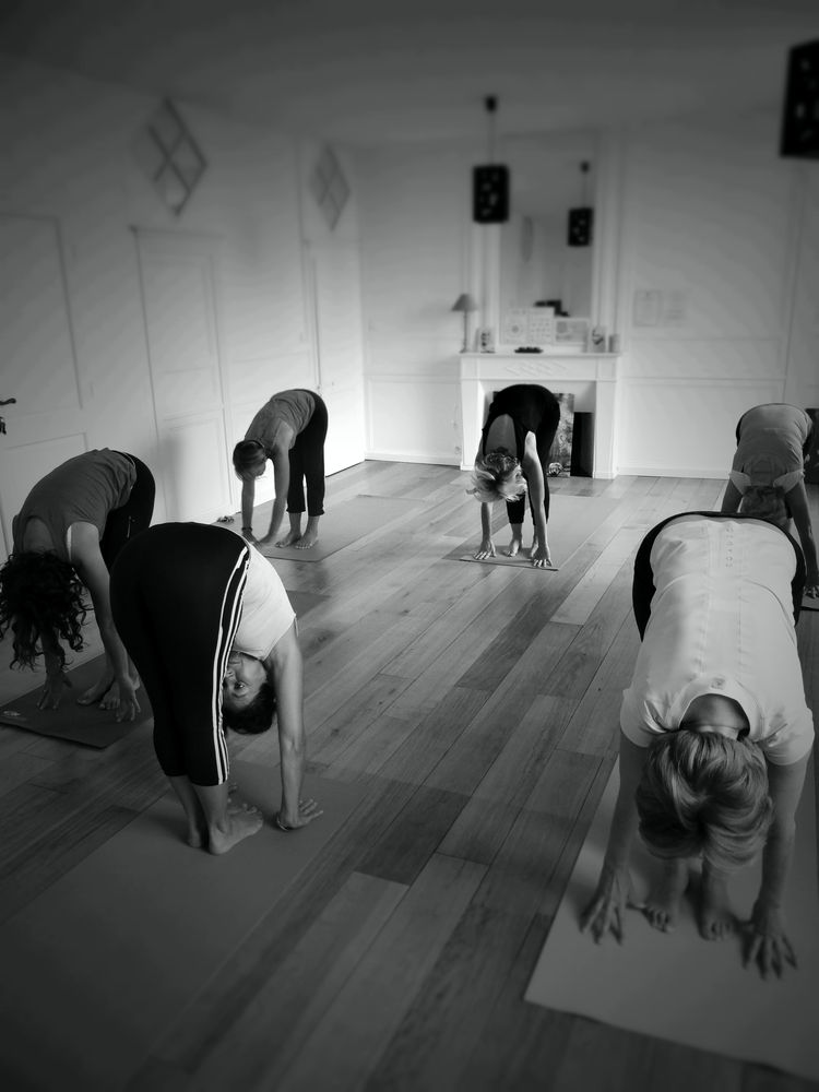 Cours collectif : pratiquants en posture du chien tête en bas